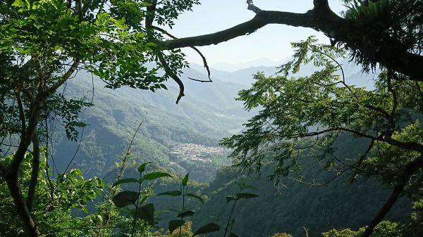 難纏的百岳練習場-尾寮山227254