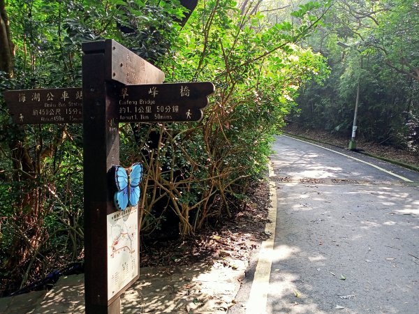 漫步陽明山前山公園→湖山綠地→橫嶺古道→湖山→半嶺步道1844826