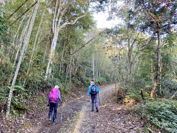 過坑山南峰連走過坑山(再登)1236645