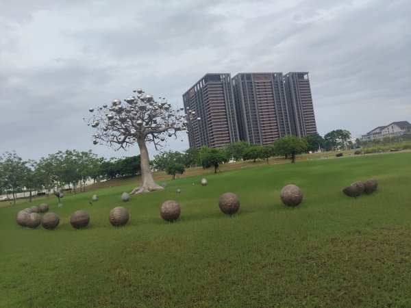 山海圳【內海之路：第一段】台江國家公園3090706