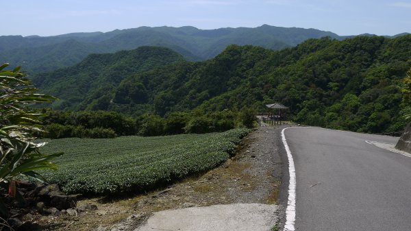 獅公髻尾山登山健行趣（郊山）1577788