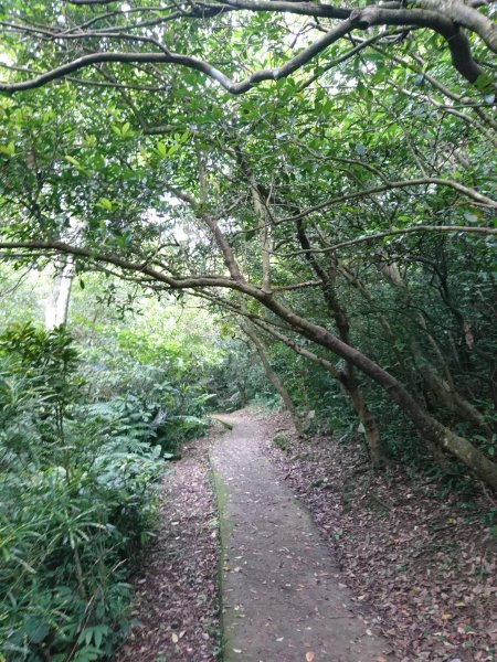 海洋大學龍崗步道－槓子寮山578385