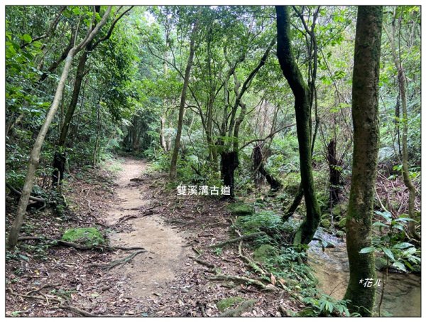 臺北大縱走第四段 風櫃嘴至捷運大湖公園站3079934