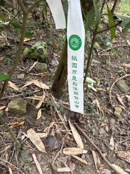 20251108白雲山步道2935197