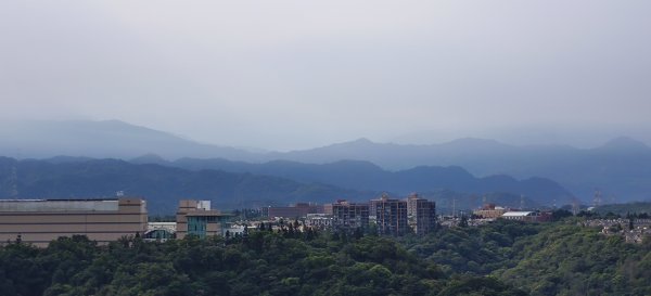 2025/08/17_三和晨光+石崎+背西步道O型2861577