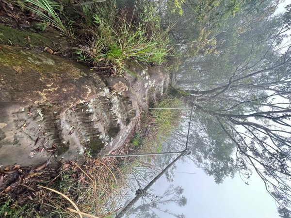 皇帝殿202603293035826