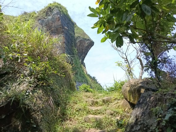 瑞芳區海園古道+鼻頭山稜+門牙岩O型2768341