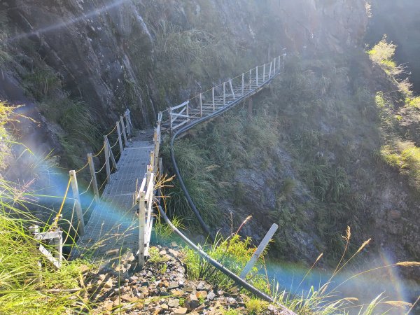 [玉山尋寶任務-07/12] 2025_0824 八通關雲龍瀑布步道2870664