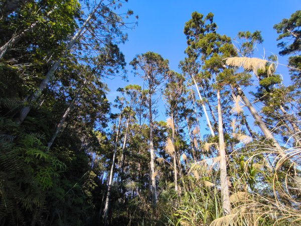 2025-12-21 武界山、獅凸魯山、橫屏山、橫屏山西峰2969714