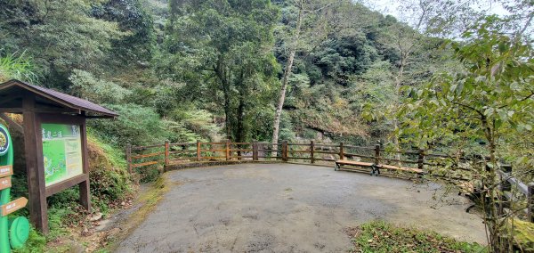 2023-01-01杉林溪青龍蕨類步道(青龍瀑布)、松瀧岩瀑布及天地眼步道1978849