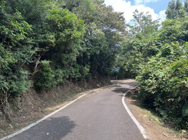 [皮皮獅Hike客任務-02/10] 2024_0720 渡南古道+飛鳳古道2557077