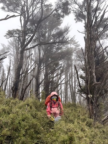 南一段 2025 / 04/02~04/062764407