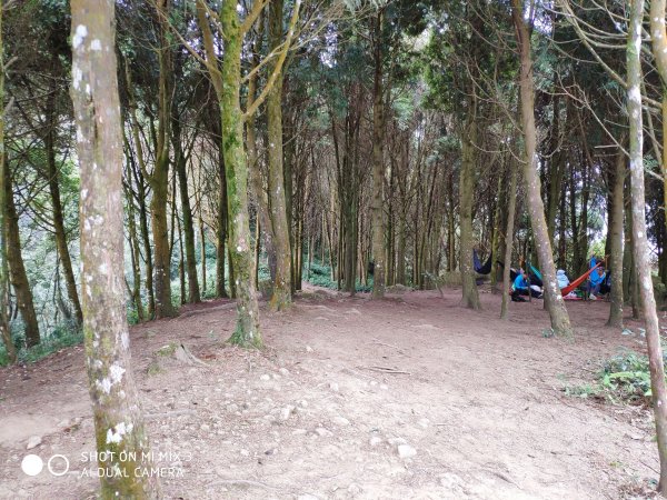 五指山五連峰純路況530514