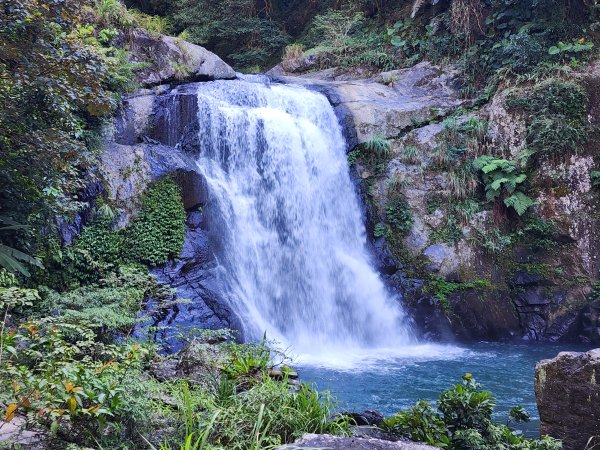 新北烏來｜內洞國家森林遊樂區步道群