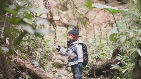 四歲小樂的第31座小百岳-關西石牛山1224496