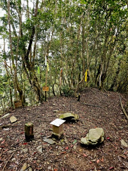 藤枝山-小百岳#68-高雄市桃源區2750331