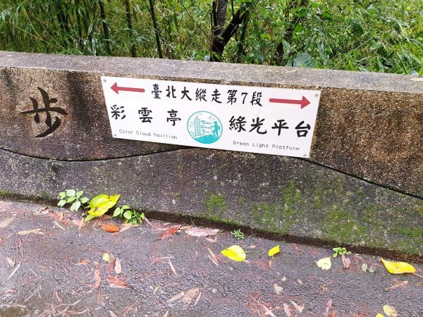 汐止大尖山，台北大縱走第七段，樟樹步道，飛龍步道，石獅腳步道，指南國小步道，木柵公園，萃湖1849818