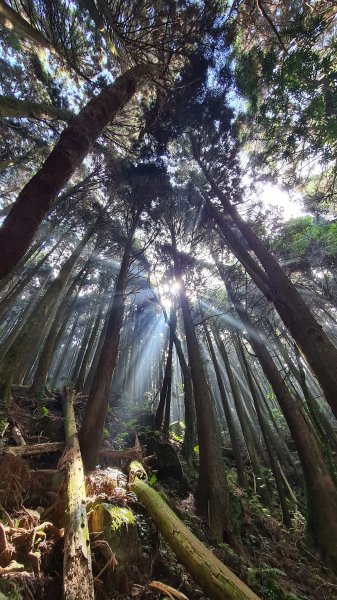 苗栗加里山1491239