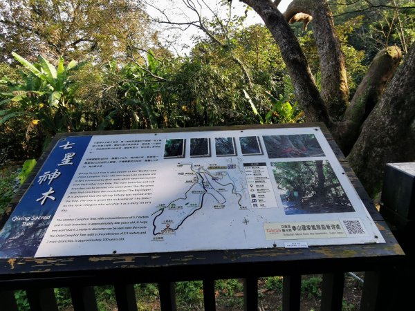 六寮古道→高峰植物園→鳳崎落日→石門水庫楓林→東眼山→鳶山→五酒桶山→台大椰林→富陽公園→象山步道1667350