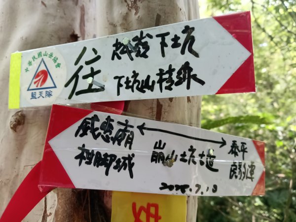 雙溪區崩山坑古道+下坑山稜線越嶺路+下坑山O型2839800