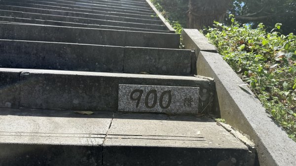 2025/10/15 台北大縱走第7段2916480