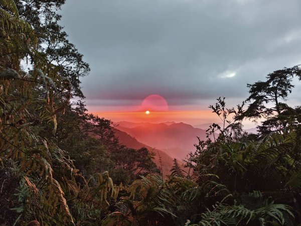 20260215台中南投裡冷尾敏山，又稱王辨山3000570