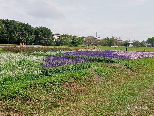 【臺北大縱走 8】捷運動物園站→捷運關渡站［河濱自行車道］2457330