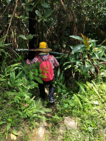 步道巡訪員 l 跑馬古道第9巡 +秘境1089703