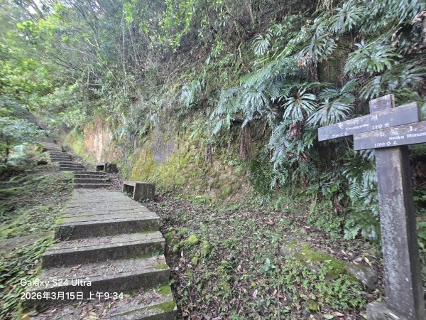 2026-03-15微笑山線：【二格山系】皇帝殿稜線段3016095