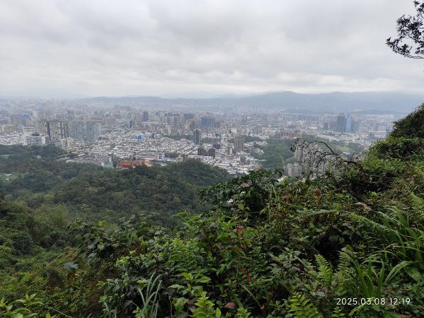 【臺北大縱走6】中華科大步道→九五峰→南港山→糶米古道→軍功山→中埔山→福州山公園→富陽自然生態公園2730087
