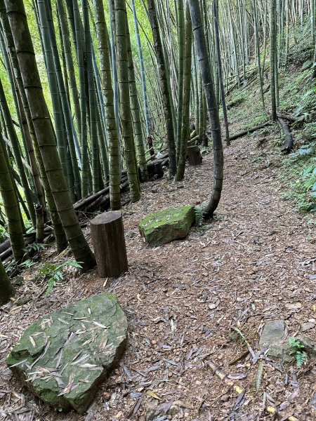 陡上陡下的溪頭鳳凰山1872916