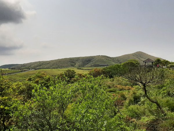 走遍陽明山：擎天崗系｜景遠心自闊，潺潺溪水聲洗去一身憂2113823