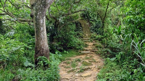 福州山,中埔山,黎和生態公園2234140