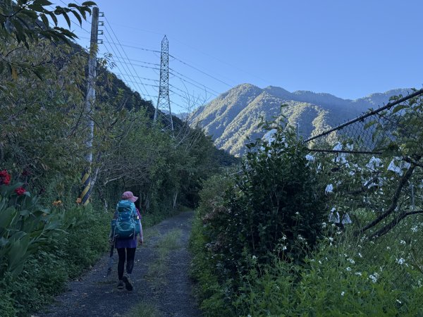 馬崙山 202509062889326