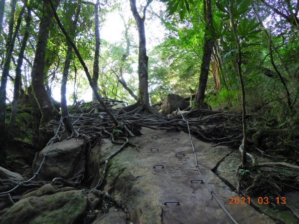 苗栗 南庄 加里山、哈堪尼山1304162