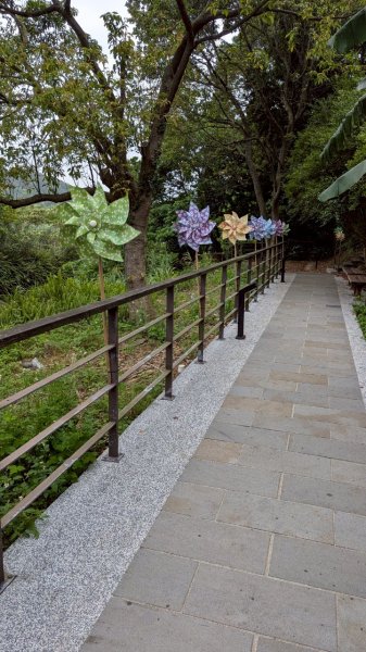 114.05.04三芝桐花步道-百年田梯步道-大鵬足湯公園2779902
