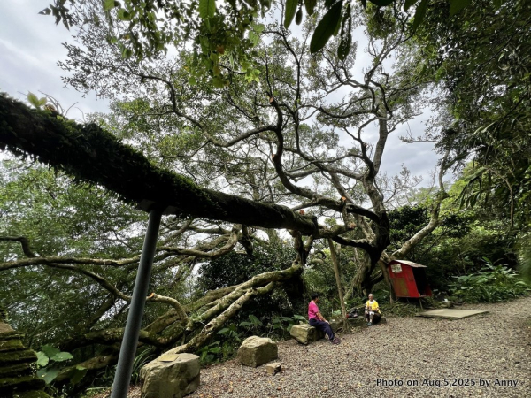 連走【微笑山線】第一段＋第二段（大棟山系）