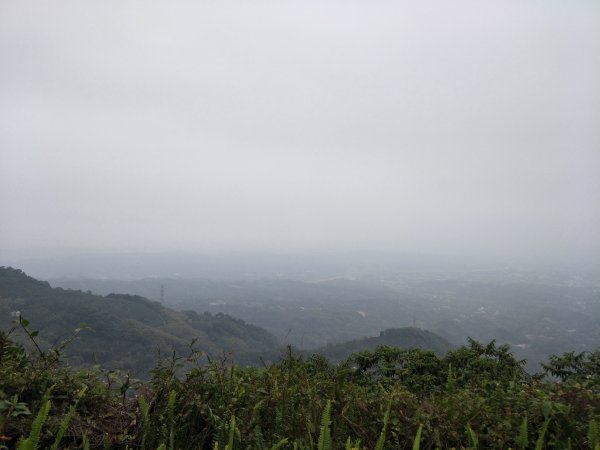 八卦茶園、海底太極石步道1336734