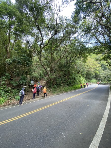 如墨暈染的春日邂逅｜中山樓墨染櫻 × 北投步道探花記2853882