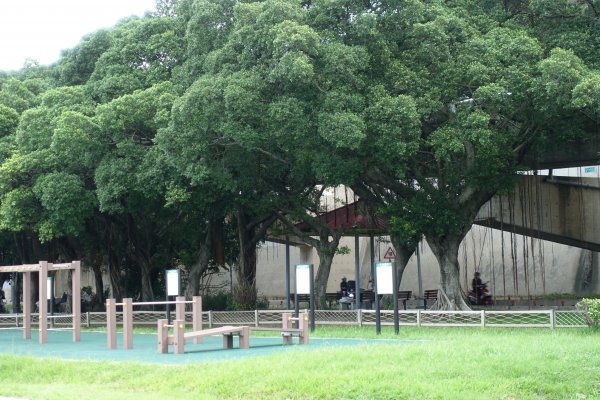 龍山河濱公園．玉泉公園1124268