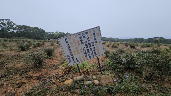 20260127三通嶺山.三義山(大桁茂山).慈濟山.大坪山大O走2990002