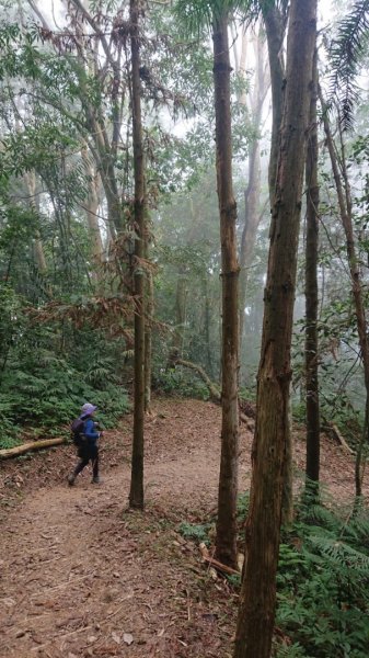 馬那邦山O走2370118