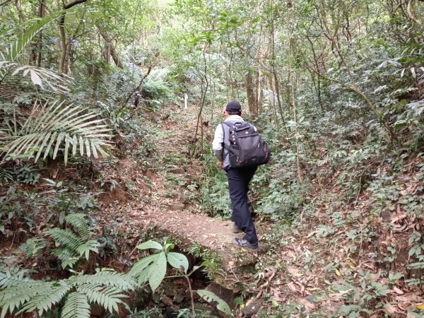 基隆市三層山+湳子大崙+淡基橫斷古道+面桶寮土地公2982231