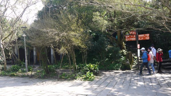 觀音山登山健行趣(小百岳05號)1632355