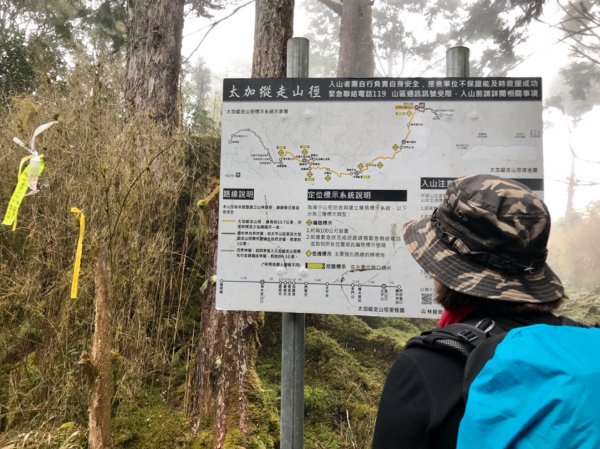 雨霧散遊太平山885986