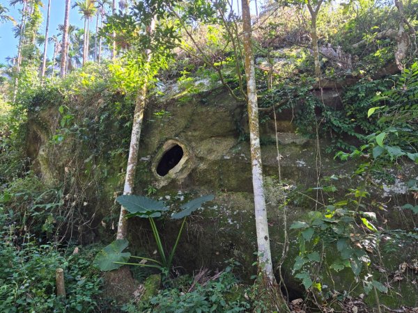 九龍山連走大凍山2955728