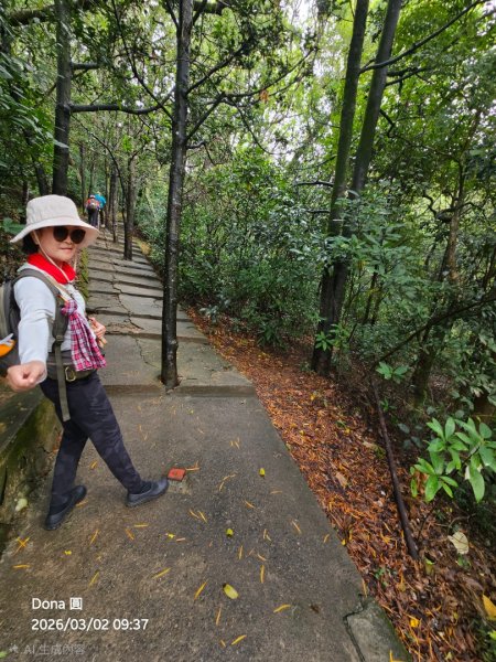 20260302忠義山.小坪頂山.貴子坑山大O走3009794