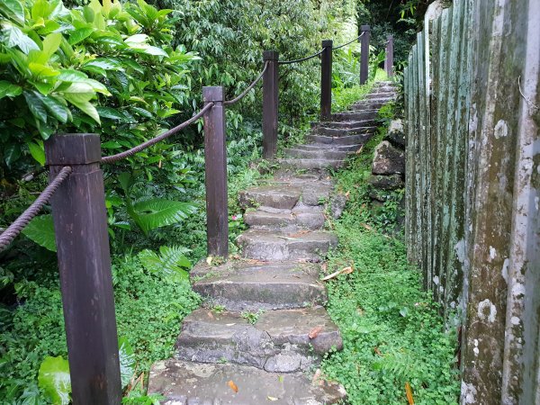 銀河洞步道上貓空1572823