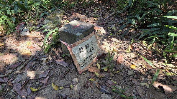 新北近郊小而美的賞景好路線野柳駱駝峰玉田古道O型2897881