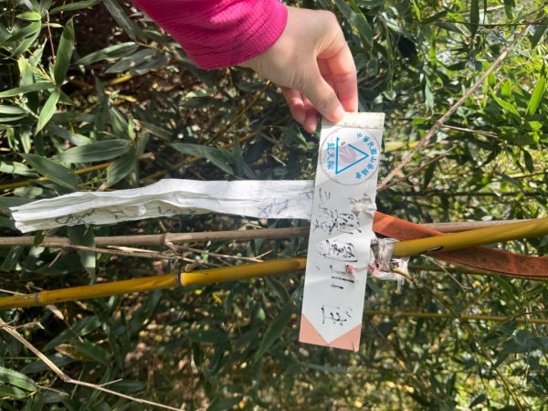 頭城火車站-頭圍山-礁水坑山南峰-礁水坑山-鶯子嶺2867041